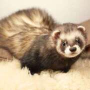 ヒメ日記 2025/07/08 17:48 投稿 かおり One More 奥様　池袋店