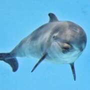 ヒメ日記 2025/07/08 21:18 投稿 かおり One More 奥様　池袋店