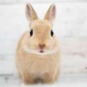 ヒメ日記 2025/07/11 20:18 投稿 かおり One More 奥様　池袋店