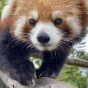 ヒメ日記 2025/07/21 19:28 投稿 かおり One More 奥様　池袋店