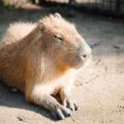 ヒメ日記 2025/07/24 20:18 投稿 かおり One More 奥様　池袋店