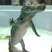 ヒメ日記 2025/07/30 18:18 投稿 かおり One More 奥様　池袋店