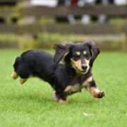 ヒメ日記 2025/07/31 18:38 投稿 かおり One More 奥様　池袋店