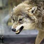 ヒメ日記 2025/08/13 05:48 投稿 かおり One More 奥様　池袋店