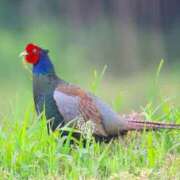 ヒメ日記 2025/08/22 23:28 投稿 かおり One More 奥様　池袋店