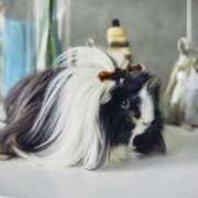 ヒメ日記 2025/09/10 22:08 投稿 かおり One More 奥様　池袋店