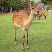 ヒメ日記 2025/09/11 05:38 投稿 かおり One More 奥様　池袋店