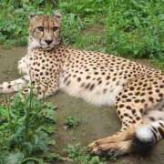 ヒメ日記 2025/09/11 20:48 投稿 かおり One More 奥様　池袋店