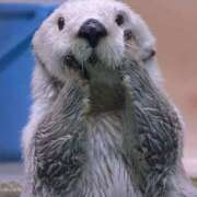 ヒメ日記 2025/09/13 21:18 投稿 かおり One More 奥様　池袋店