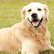 ヒメ日記 2025/09/14 20:57 投稿 かおり One More 奥様　池袋店