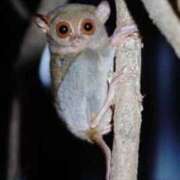 ヒメ日記 2025/09/14 21:23 投稿 かおり One More 奥様　池袋店