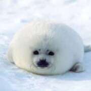 ヒメ日記 2025/09/17 21:08 投稿 かおり One More 奥様　池袋店