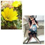 ヒメ日記 2026/01/04 20:12 投稿 心響【ここね】 輝女