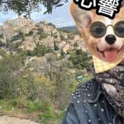 ヒメ日記 2026/01/20 12:03 投稿 心響【ここね】 輝女