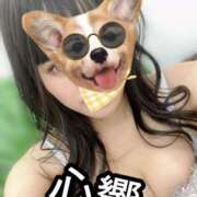 ヒメ日記 2026/02/15 13:31 投稿 心響【ここね】 輝女