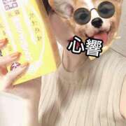 ヒメ日記 2026/02/17 12:16 投稿 心響【ここね】 輝女