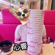 ヒメ日記 2026/04/05 19:00 投稿 心響【ここね】 輝女