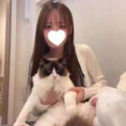 ヒメ日記 2025/08/04 22:43 投稿 チハル MEGA PALACE(メガパレス）