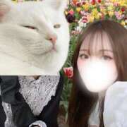 ヒメ日記 2025/08/11 14:23 投稿 チハル MEGA PALACE(メガパレス）