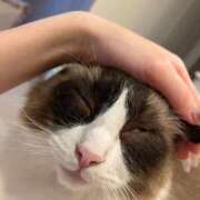 ヒメ日記 2025/09/02 12:17 投稿 チハル MEGA PALACE(メガパレス）