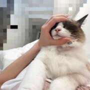 ヒメ日記 2025/09/10 10:03 投稿 チハル MEGA PALACE(メガパレス）