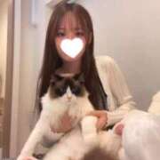 ヒメ日記 2025/10/25 07:52 投稿 チハル MEGA PALACE(メガパレス）