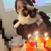 ヒメ日記 2025/12/24 17:13 投稿 チハル MEGA PALACE(メガパレス）