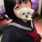 ヒメ日記 2025/08/18 20:27 投稿 田村みき★ elumo(エルモ)