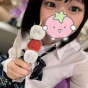 ヒメ日記 2025/08/25 07:35 投稿 田村みき★ elumo(エルモ)