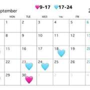 ヒメ日記 2025/09/11 09:17 投稿 田村みき★ elumo(エルモ)