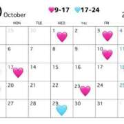 ヒメ日記 2025/09/24 20:13 投稿 田村みき★ elumo(エルモ)