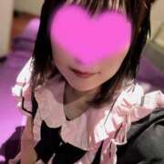 ヒメ日記 2025/10/29 16:59 投稿 田村みき★ elumo(エルモ)