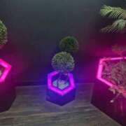 ヒメ日記 2025/05/04 18:26 投稿 琴美 出会い系人妻ネットワーク札幌駅～大通り・すすきの編