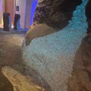 ヒメ日記 2025/05/09 23:42 投稿 琴美 出会い系人妻ネットワーク札幌駅～大通り・すすきの編