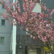 ヒメ日記 2025/05/10 14:18 投稿 琴美 出会い系人妻ネットワーク札幌駅～大通り・すすきの編