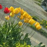 ヒメ日記 2025/05/15 14:42 投稿 琴美 出会い系人妻ネットワーク札幌駅～大通り・すすきの編