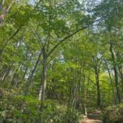 ヒメ日記 2025/05/22 13:32 投稿 琴美 出会い系人妻ネットワーク札幌駅～大通り・すすきの編