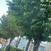 ヒメ日記 2025/05/23 13:23 投稿 琴美 出会い系人妻ネットワーク札幌駅～大通り・すすきの編