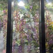 ヒメ日記 2025/05/28 13:22 投稿 琴美 出会い系人妻ネットワーク札幌駅～大通り・すすきの編