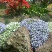 ヒメ日記 2025/05/30 13:43 投稿 琴美 出会い系人妻ネットワーク札幌駅～大通り・すすきの編