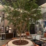 ヒメ日記 2025/06/12 03:03 投稿 琴美 出会い系人妻ネットワーク札幌駅～大通り・すすきの編