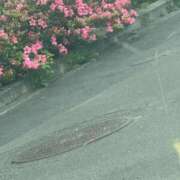 ヒメ日記 2025/06/18 13:03 投稿 琴美 出会い系人妻ネットワーク札幌駅～大通り・すすきの編