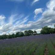 ヒメ日記 2025/06/27 13:03 投稿 琴美 出会い系人妻ネットワーク札幌駅～大通り・すすきの編