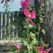 ヒメ日記 2025/07/01 13:04 投稿 琴美 出会い系人妻ネットワーク札幌駅～大通り・すすきの編