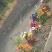 ヒメ日記 2025/07/04 13:48 投稿 琴美 出会い系人妻ネットワーク札幌駅～大通り・すすきの編