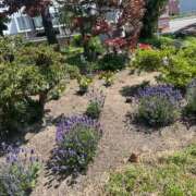 ヒメ日記 2025/07/12 13:06 投稿 琴美 出会い系人妻ネットワーク札幌駅～大通り・すすきの編