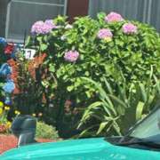 ヒメ日記 2025/07/13 13:15 投稿 琴美 出会い系人妻ネットワーク札幌駅～大通り・すすきの編