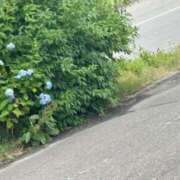 ヒメ日記 2025/07/23 13:15 投稿 琴美 出会い系人妻ネットワーク札幌駅～大通り・すすきの編