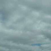 ヒメ日記 2025/07/25 13:21 投稿 琴美 出会い系人妻ネットワーク札幌駅～大通り・すすきの編