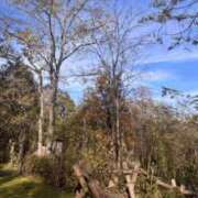 ヒメ日記 2025/07/28 13:06 投稿 琴美 出会い系人妻ネットワーク札幌駅～大通り・すすきの編